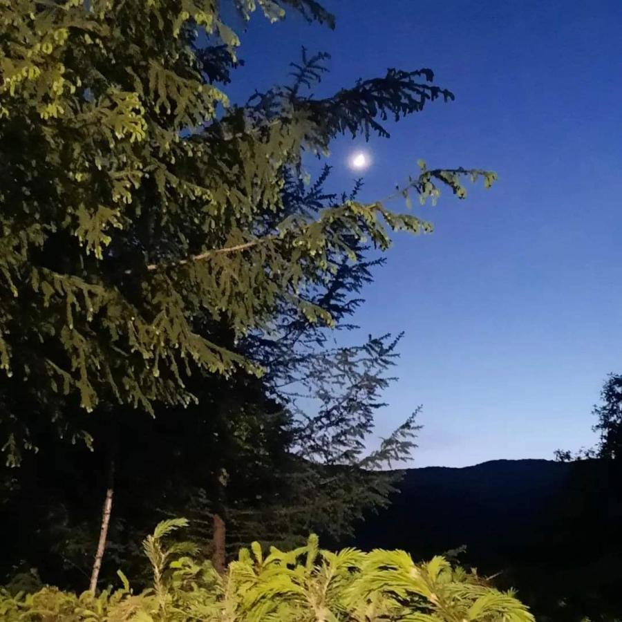 Kalmul Naturii, Iuresul Padurii Firiza-de-Jos Dış mekan fotoğraf