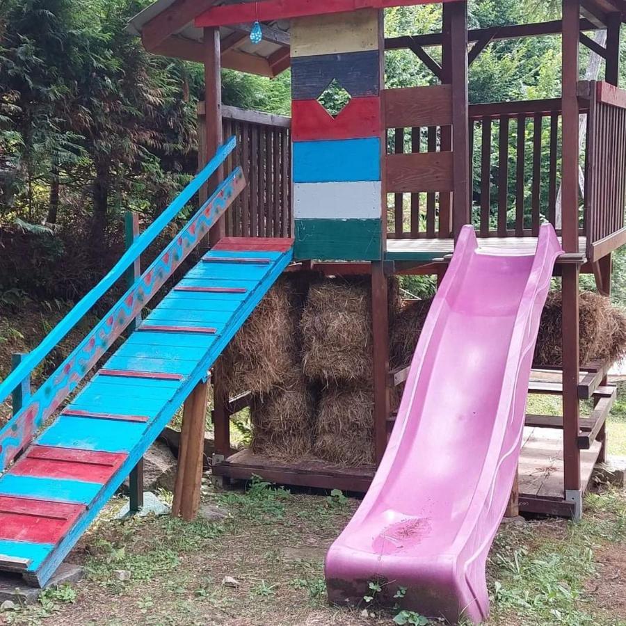 Kalmul Naturii, Iuresul Padurii Firiza-de-Jos Dış mekan fotoğraf